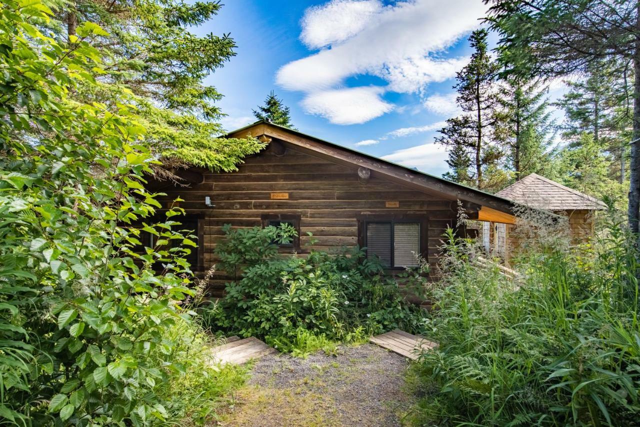 Stillpoint Lodge - All-Inclusive Halibut Cove Exterior foto